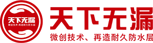 广东天下无漏房屋修缮有限公司